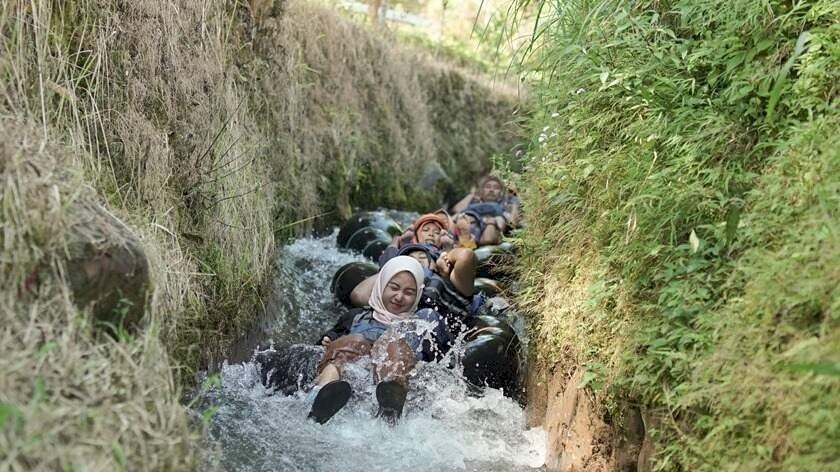 Wisata Kali Pucuk River Tubing dengan Keindahan Kebun Teh
